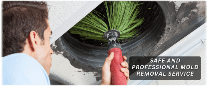 Air Duct Mold Removal in Houston TX