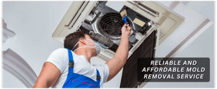 HVAC Mold Removal Houston TX